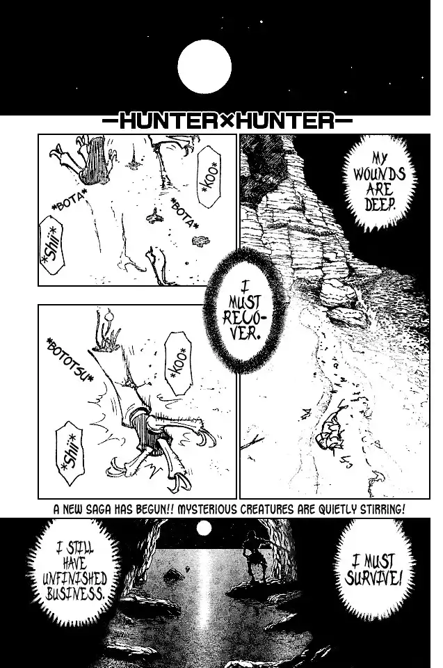 Hunter x Hunter Chapter 186 1